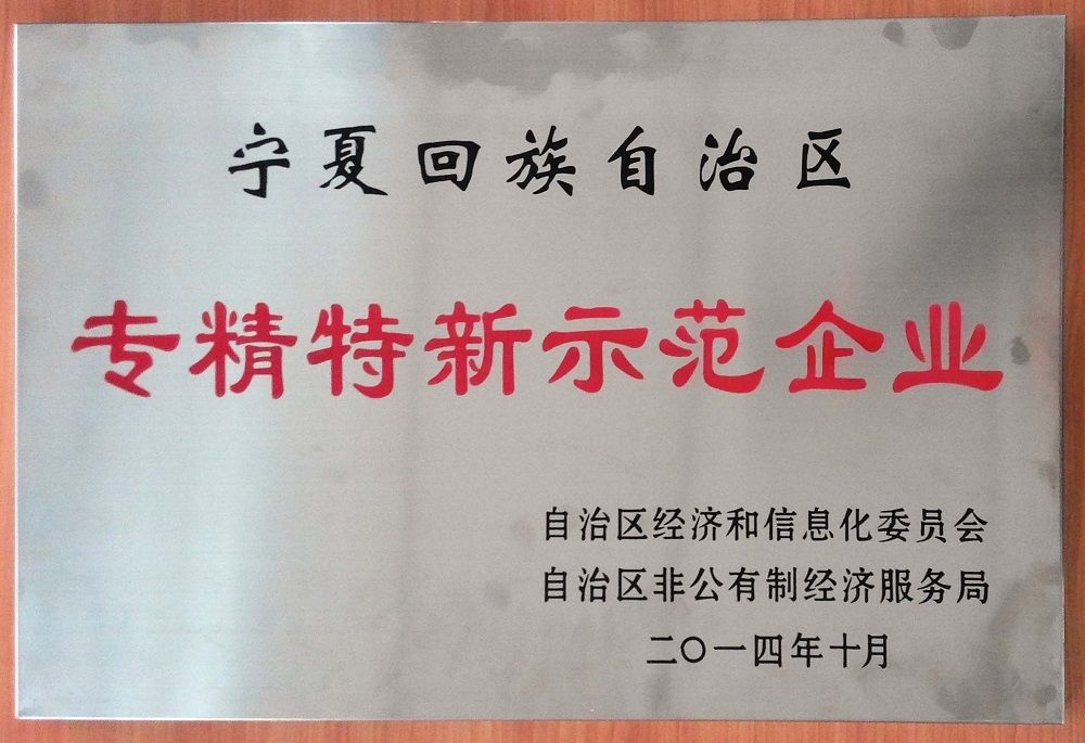 專(zhuān)精特新牌匾.jpg